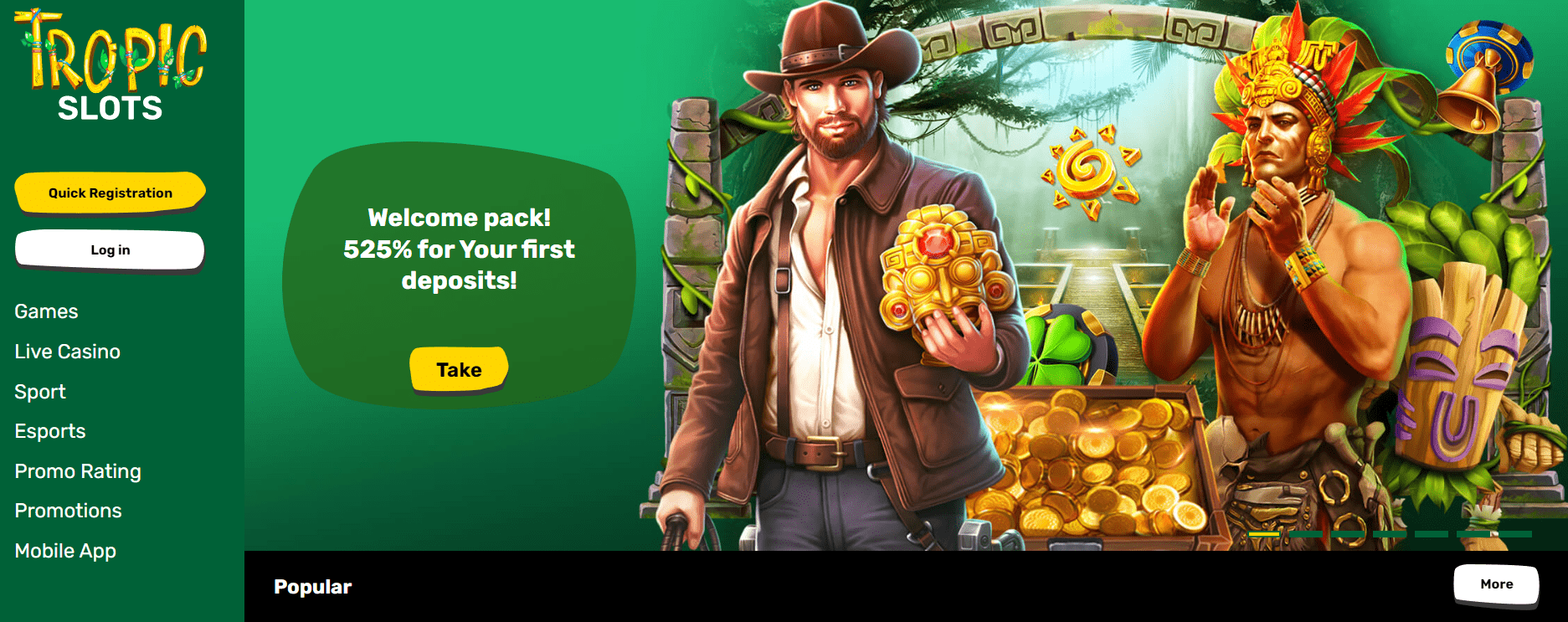 tropic slots design and interface